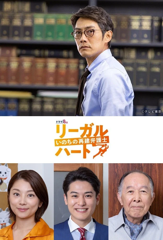 《法律之心:重建生命的律师》海报