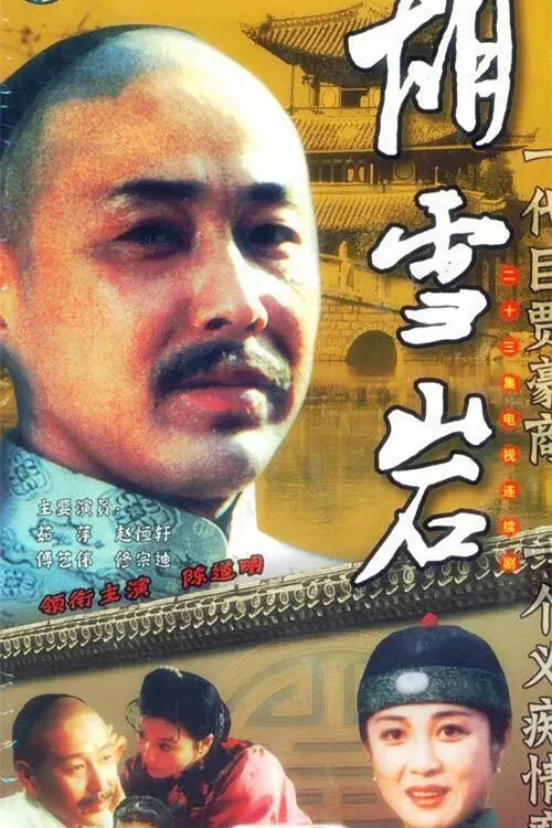 《胡雪岩》海报