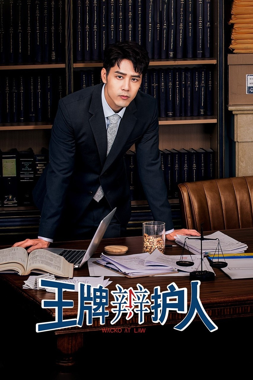 王牌辩护人
