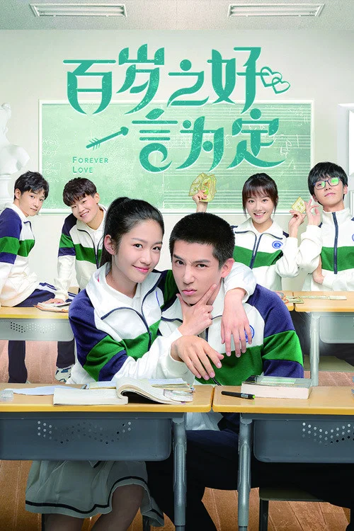 《百岁之好，一言为定》海报