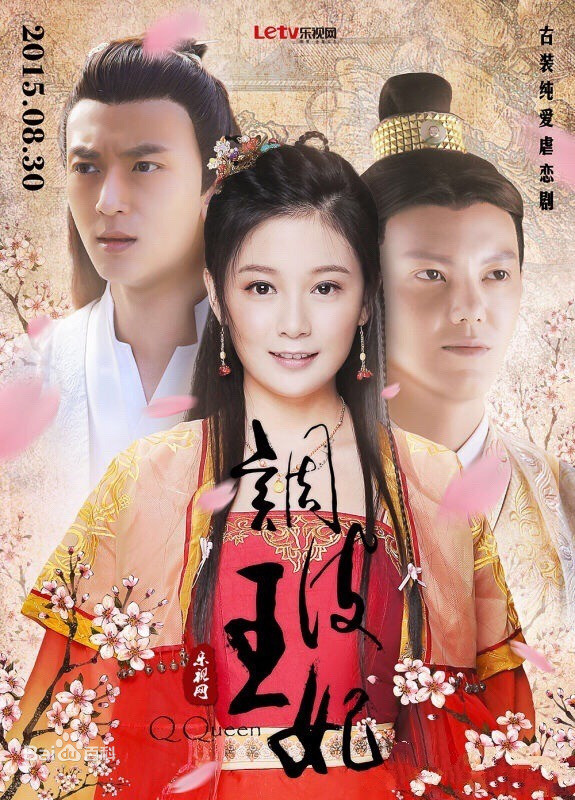 调皮王妃封面图