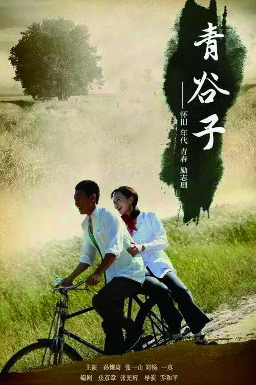 《青谷子》海报