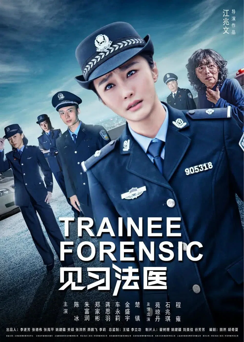 《见习法医》海报
