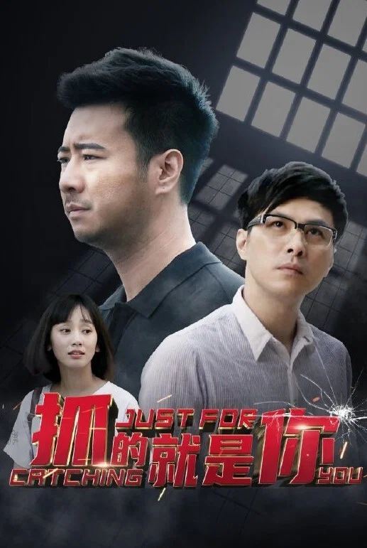 《抓的就是你》海报