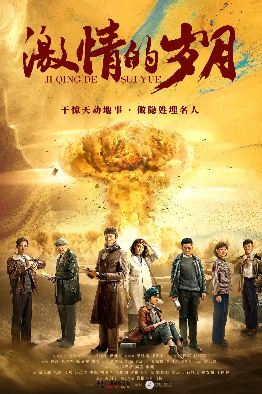 《激情的岁月》海报
