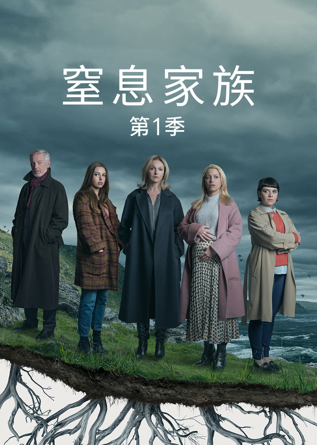 窒息家庭封面图
