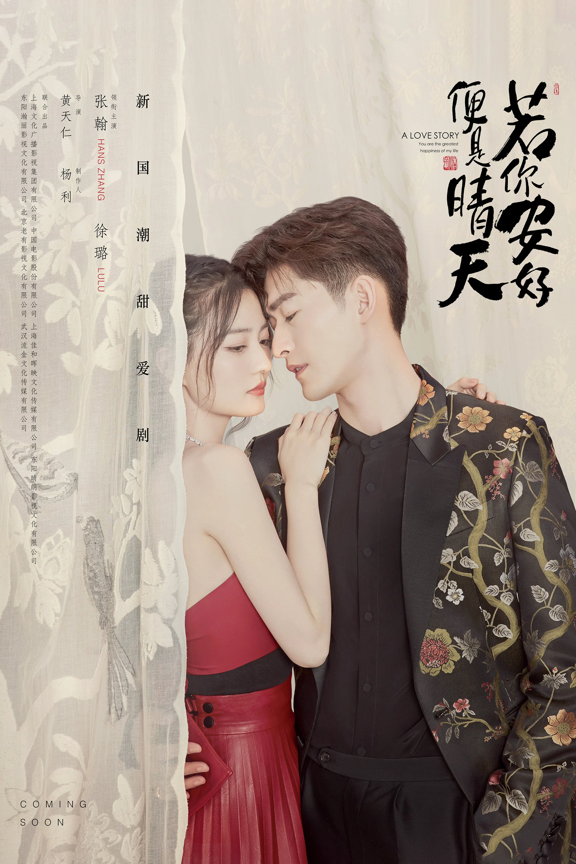 《若你安好便是晴天》海报
