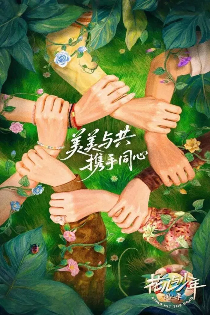 《花儿与少年》海报
