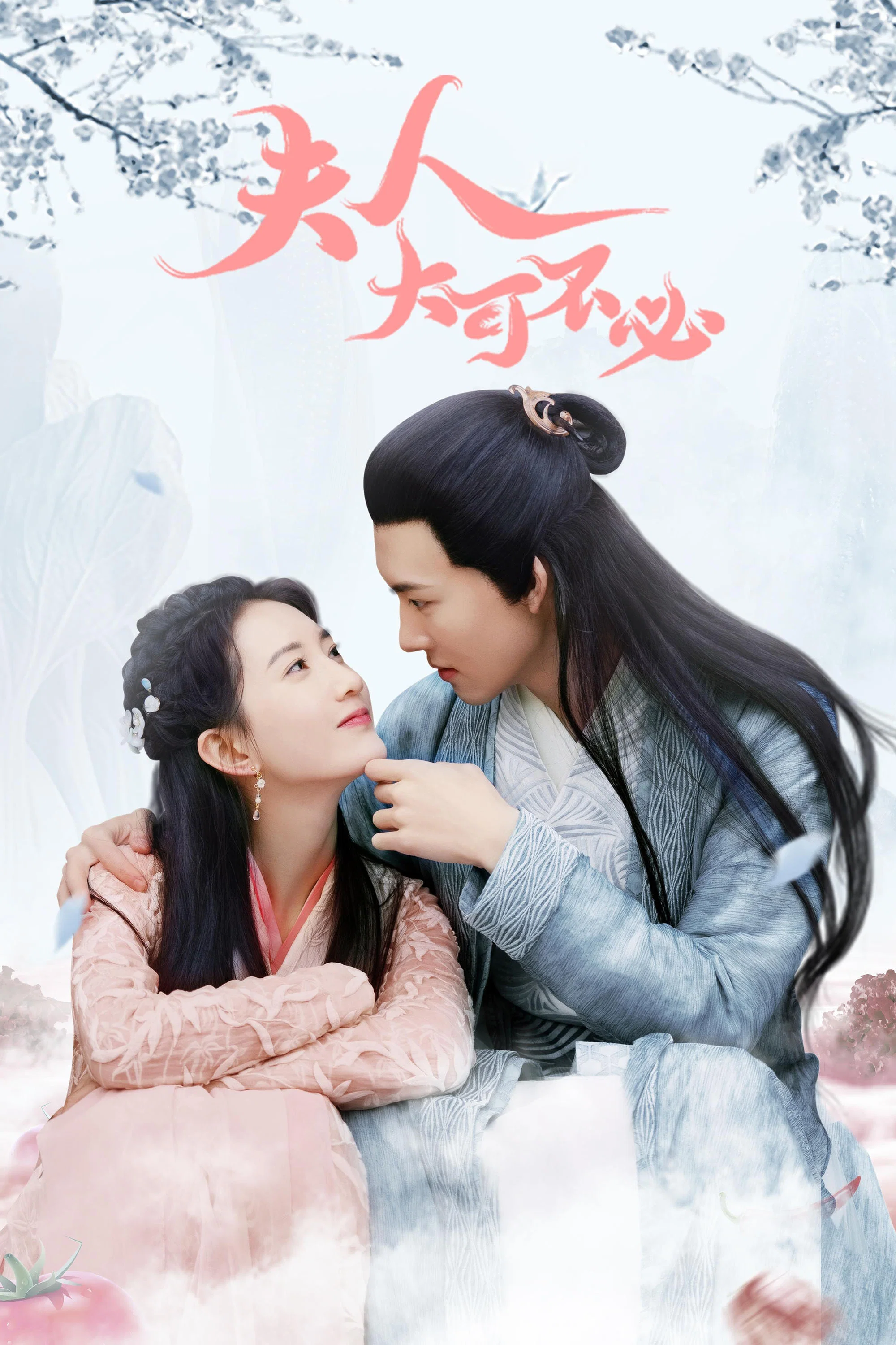 《夫人，大可不必》海报