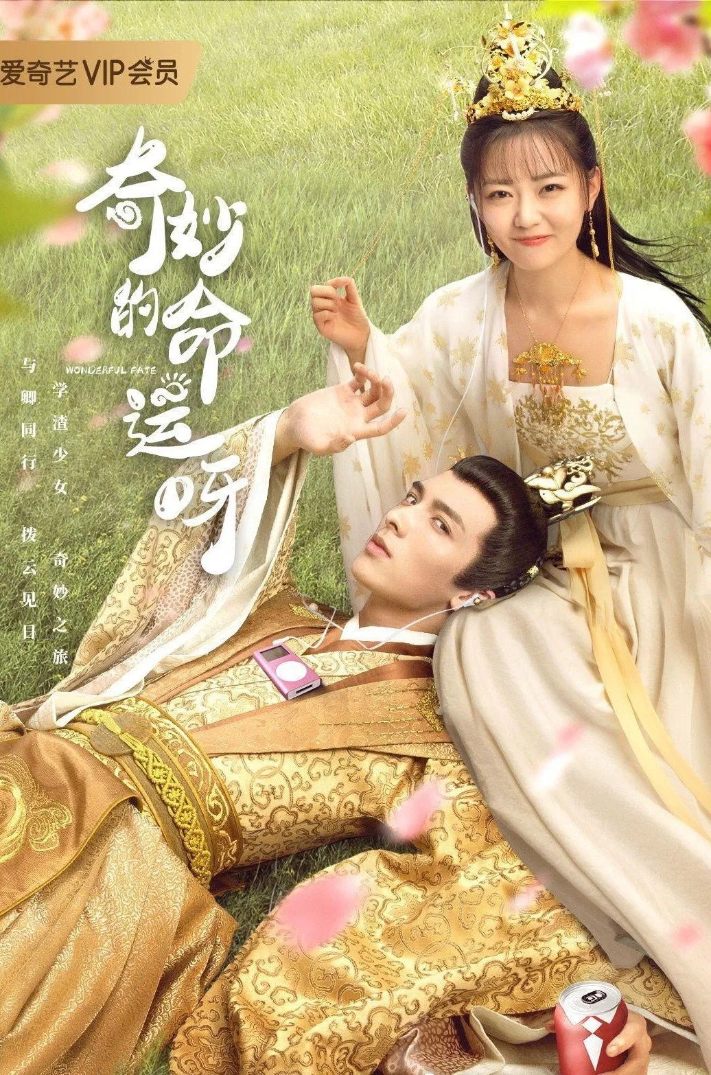 《奇妙的命运呀》海报