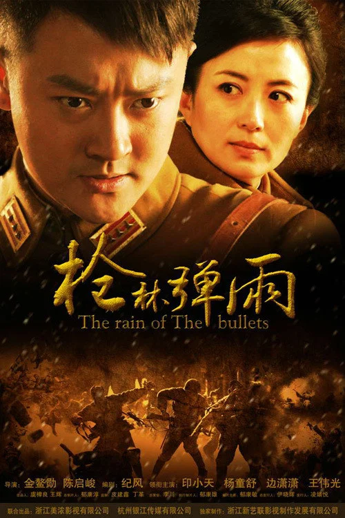 枪林弹雨封面图