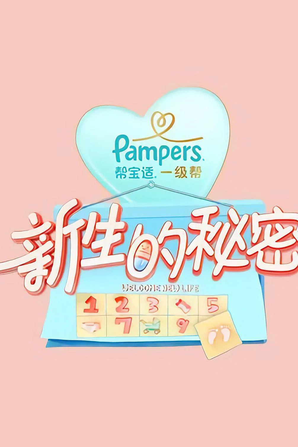 新生的秘密 海报