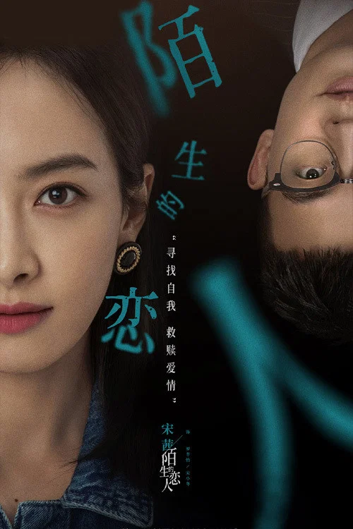 《陌生的恋人》海报
