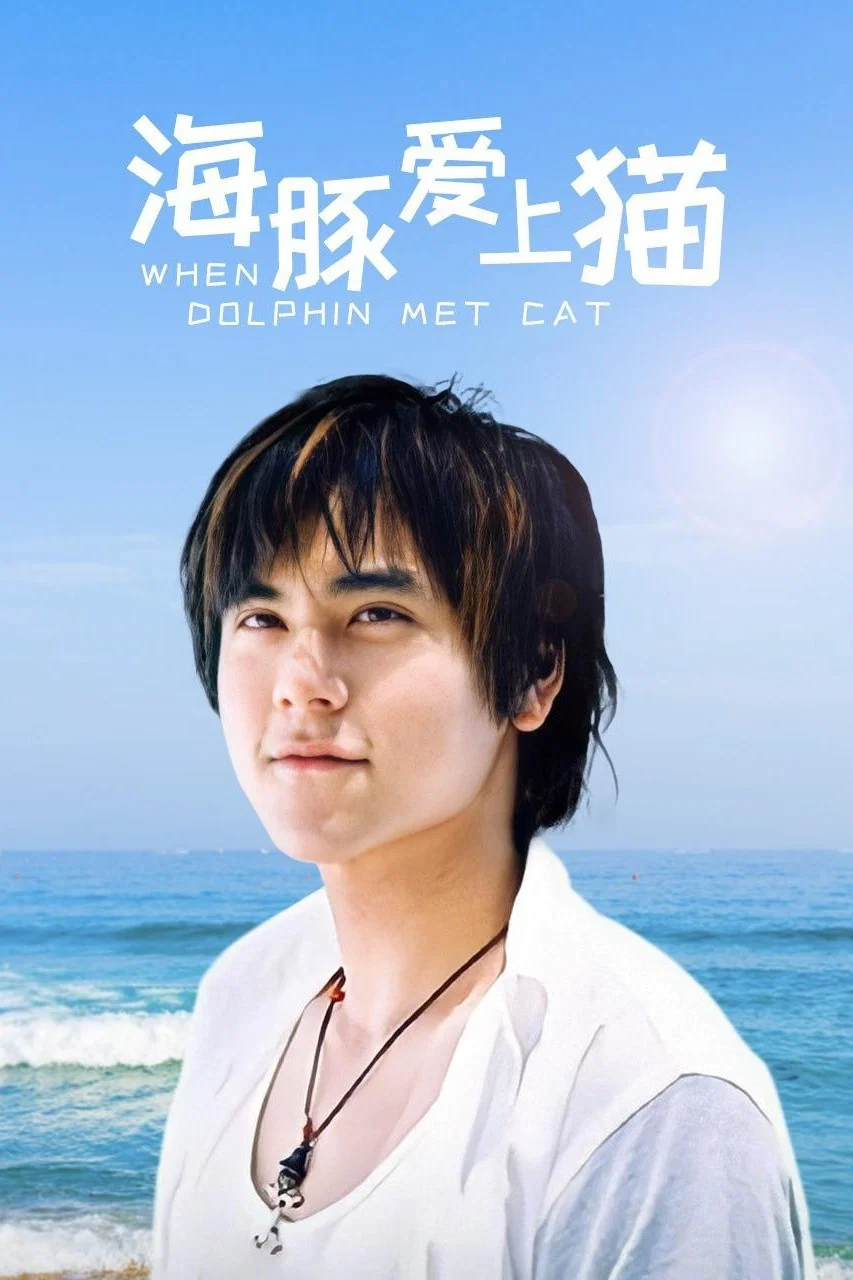 海豚爱上猫封面图