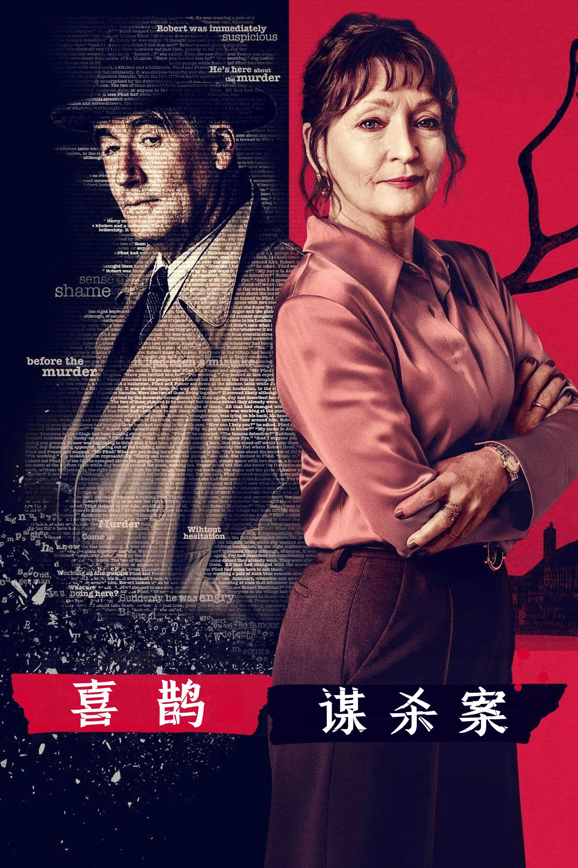 喜鹊谋杀案封面图