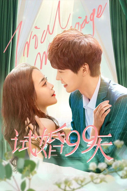 《试婚99天》海报
