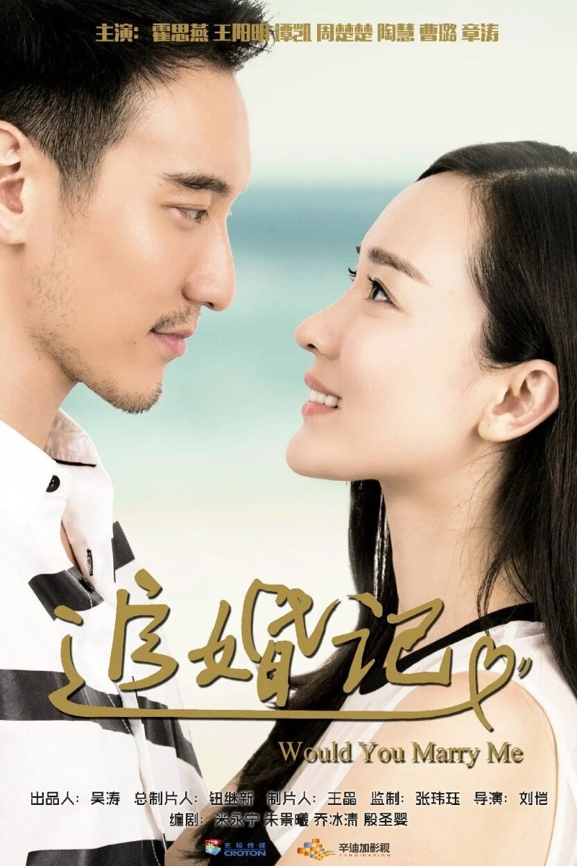 追婚记封面图