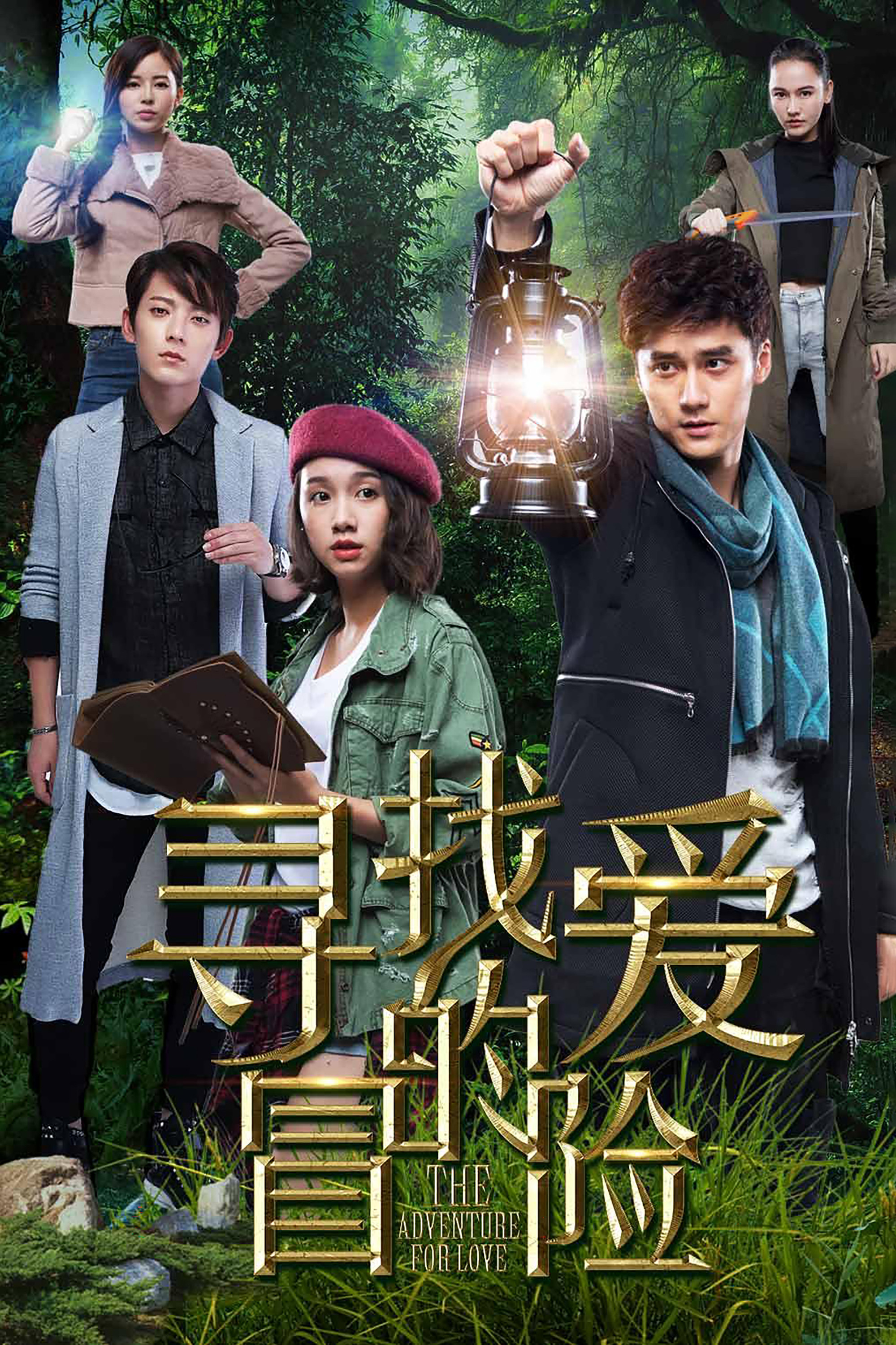 寻找爱的冒险封面图