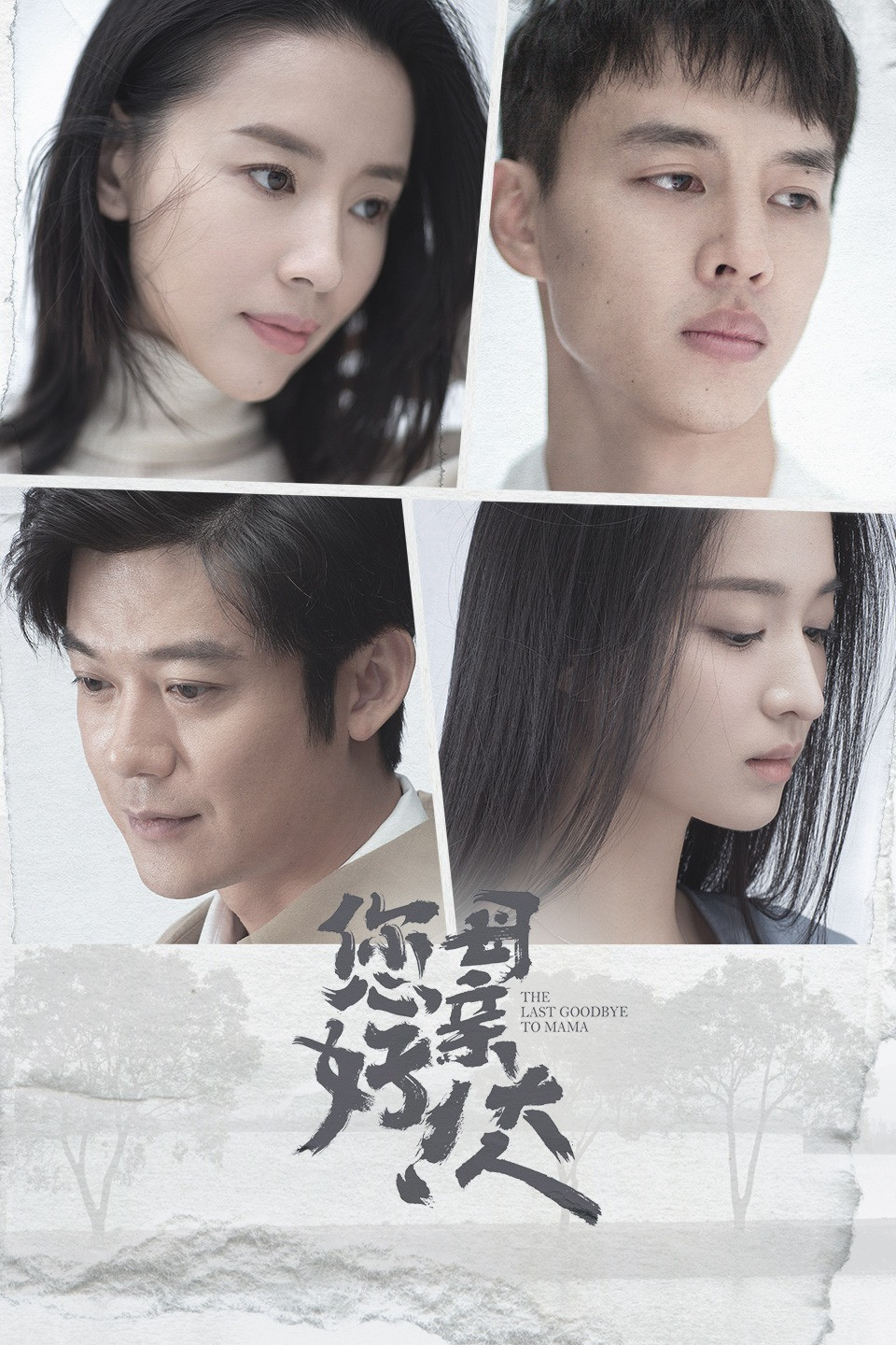 您好！母亲大人封面图
