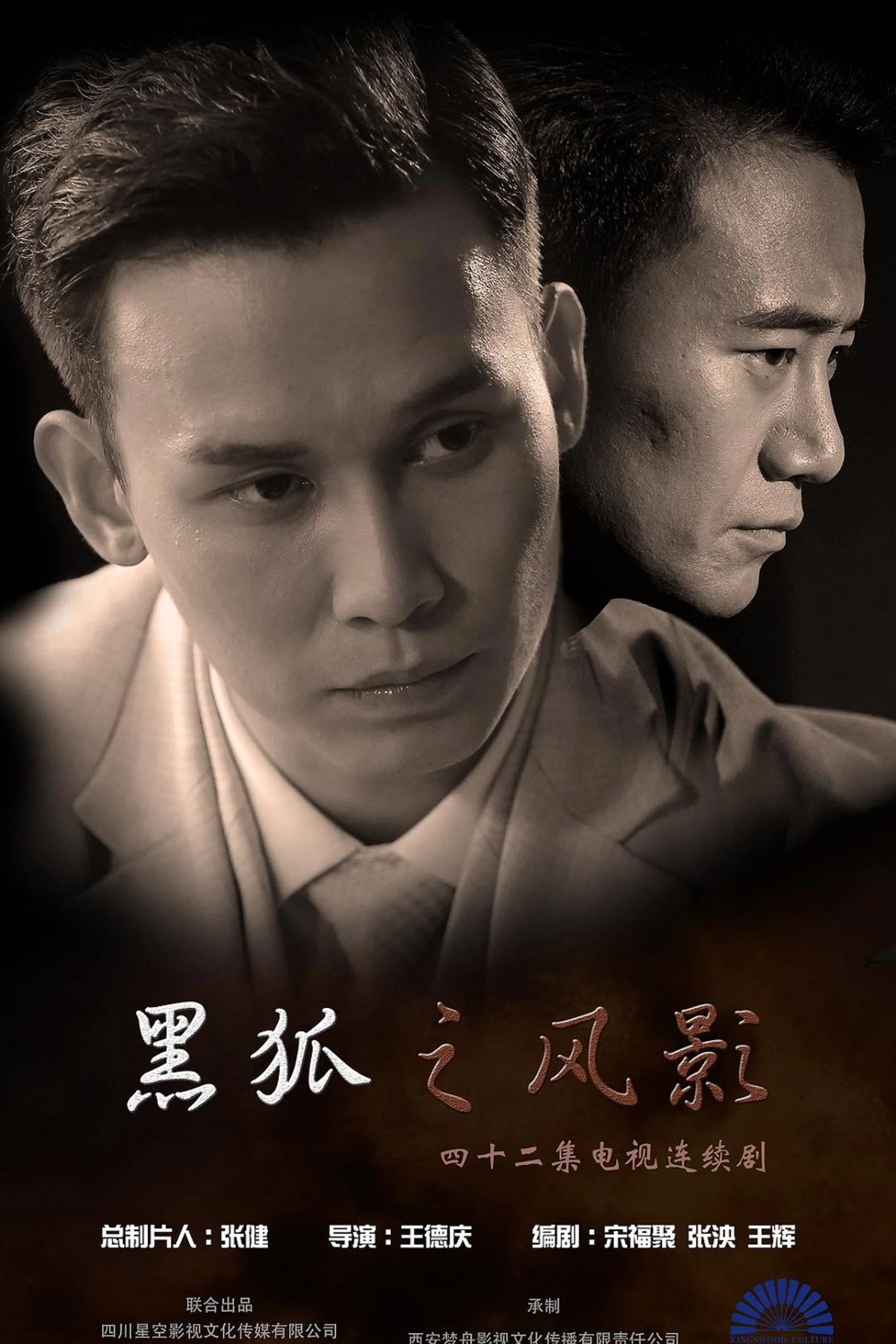 《黑狐之风影》海报