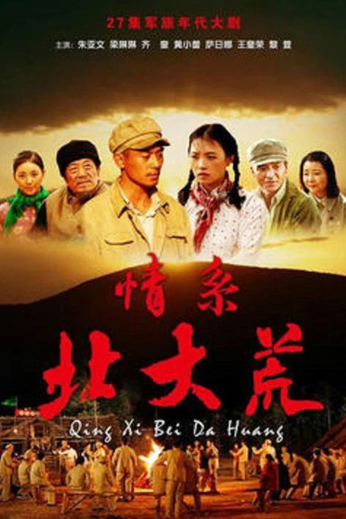 《情系北大荒》海报