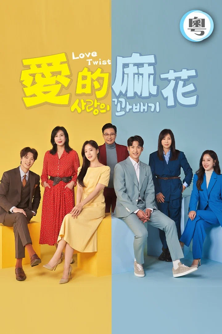 《爱的麻花》海报