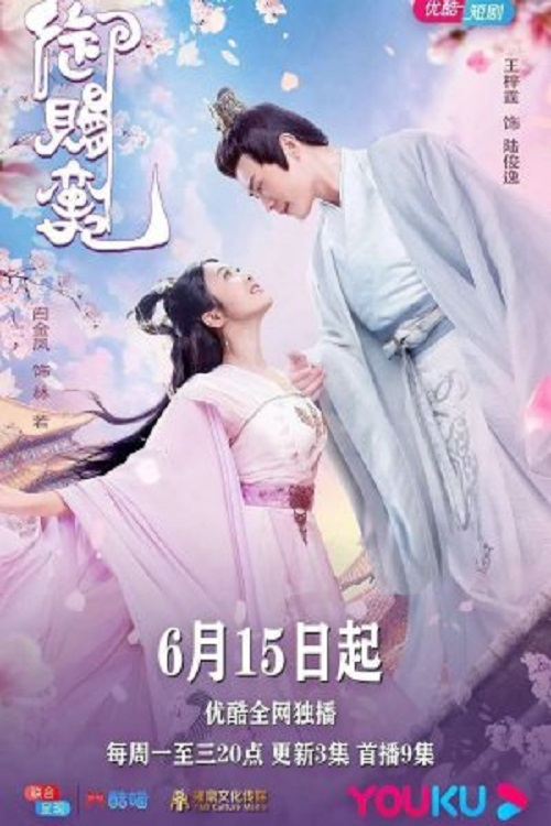 御赐蛮妃封面图