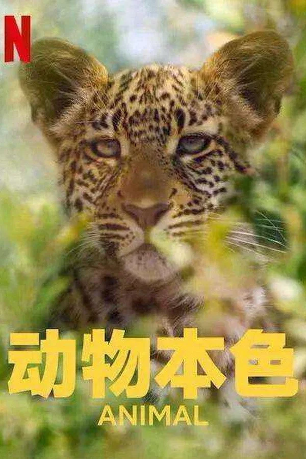 《动物本色》海报