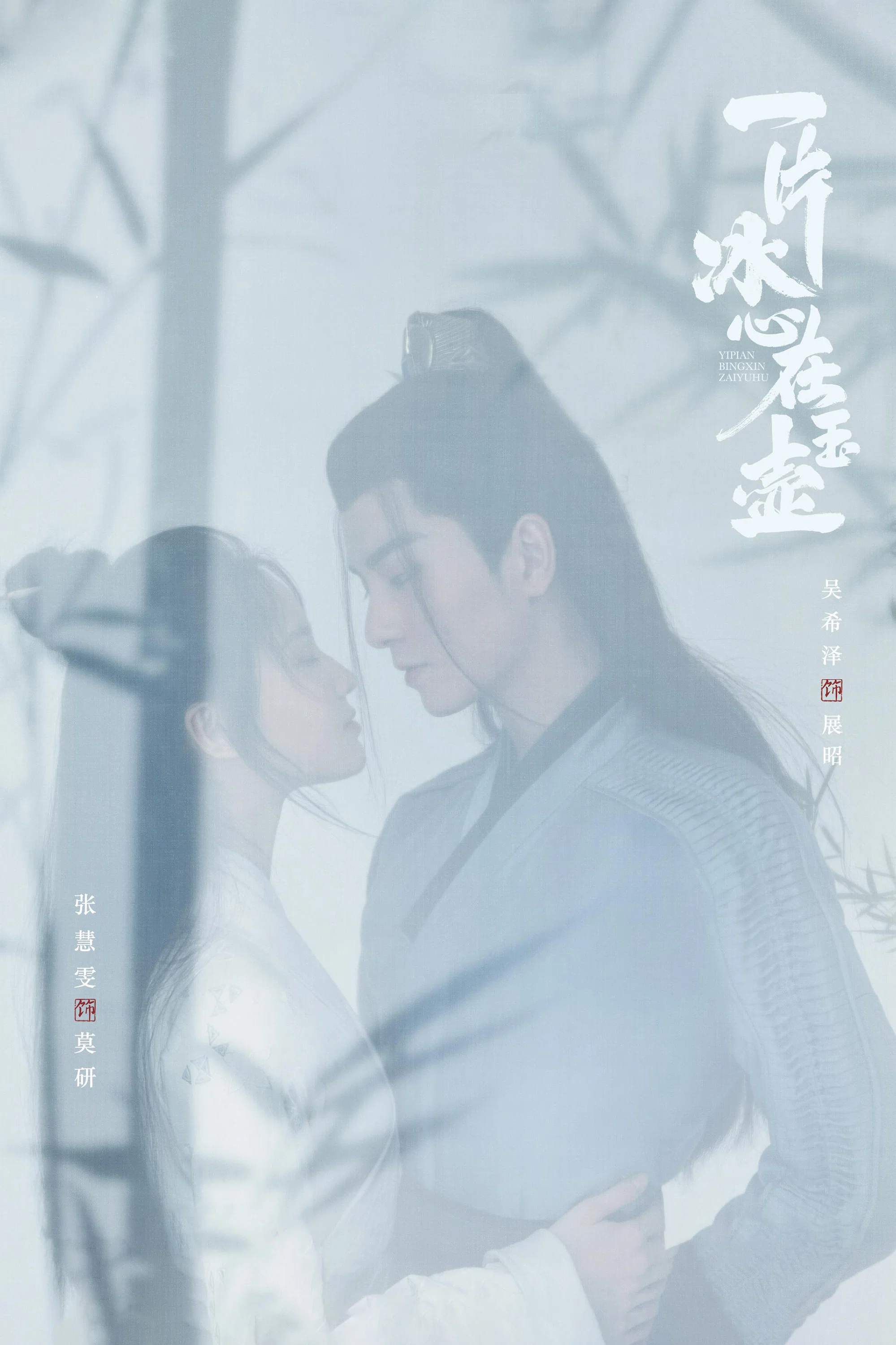 《一片冰心在玉壶》海报