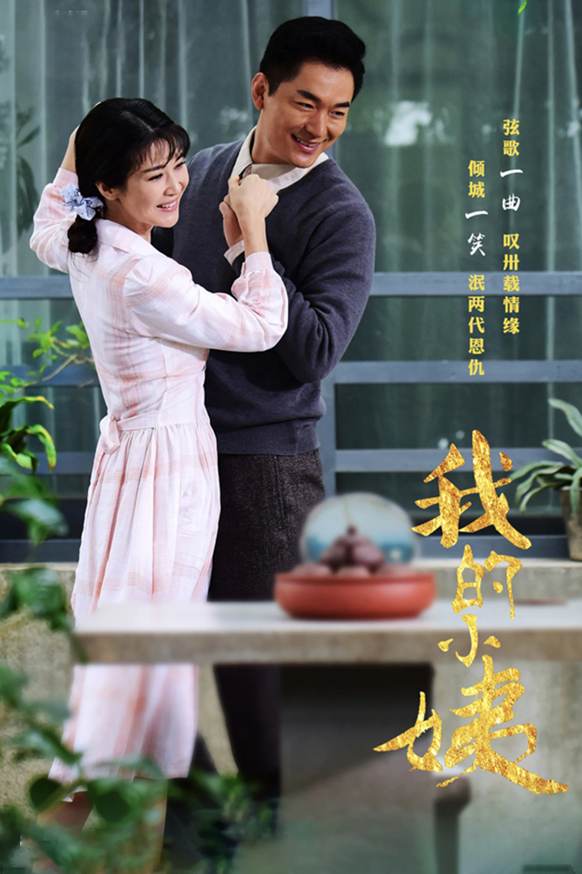 《我的小姨》海报