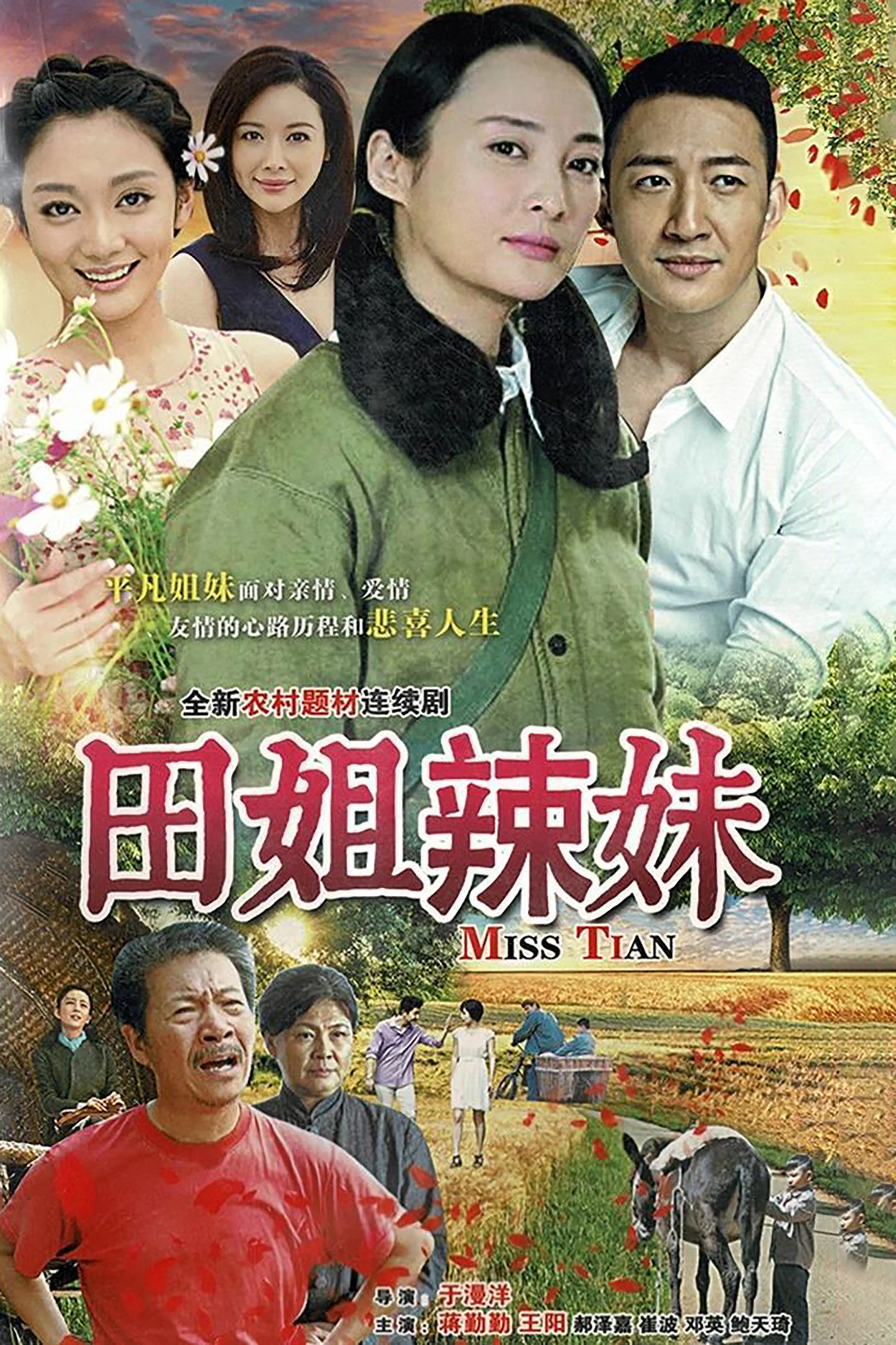 《田姐辣妹》海报