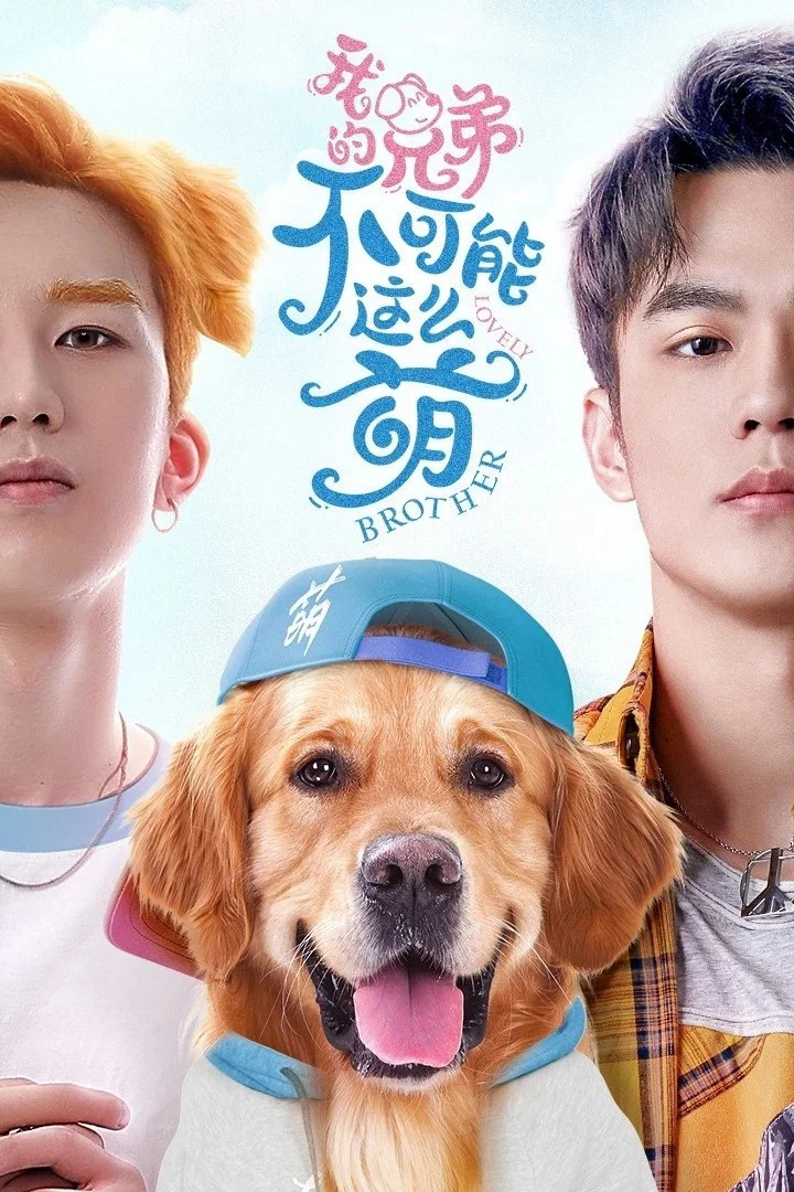 《我的兄弟不可能这么萌》海报
