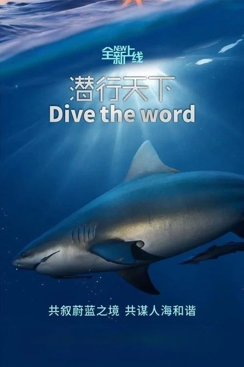 潜行天下