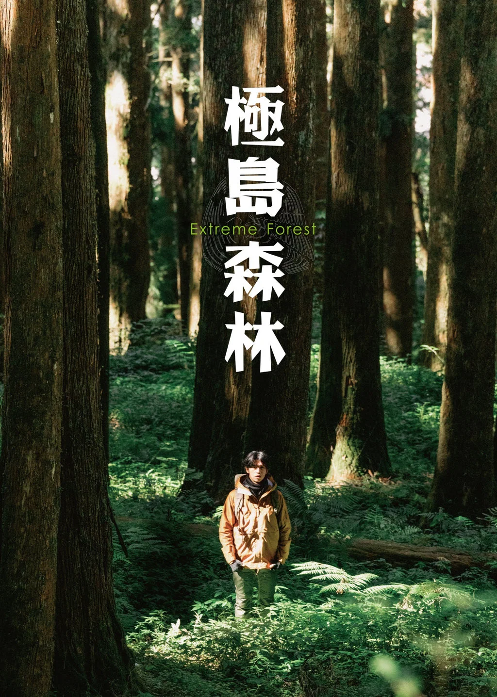 《极岛森林》海报