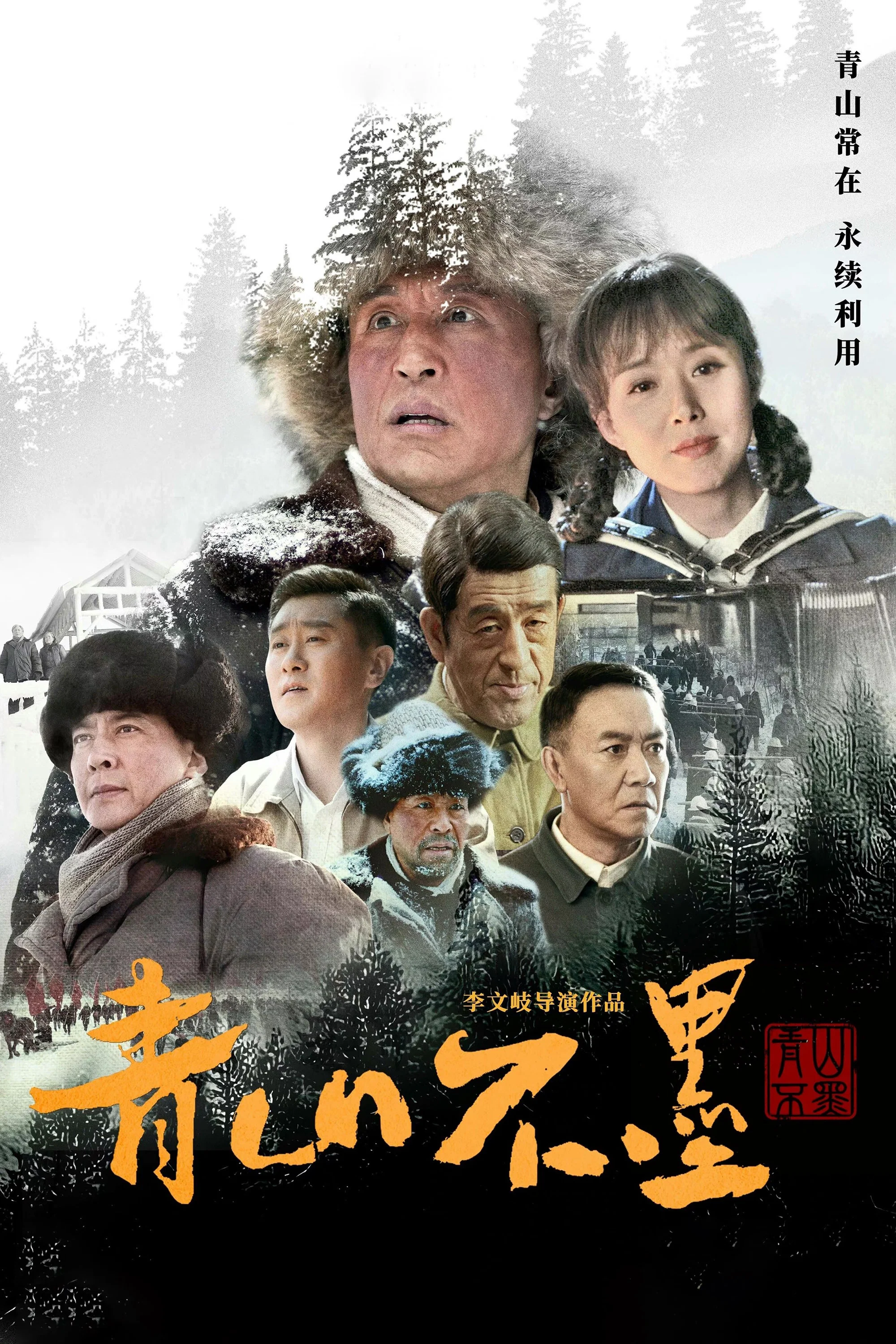 《青山不墨》海报