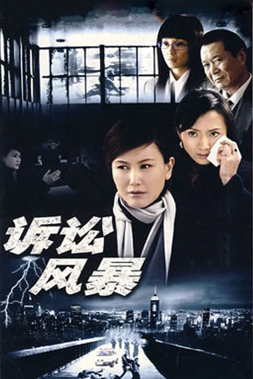 《诉讼风暴》海报