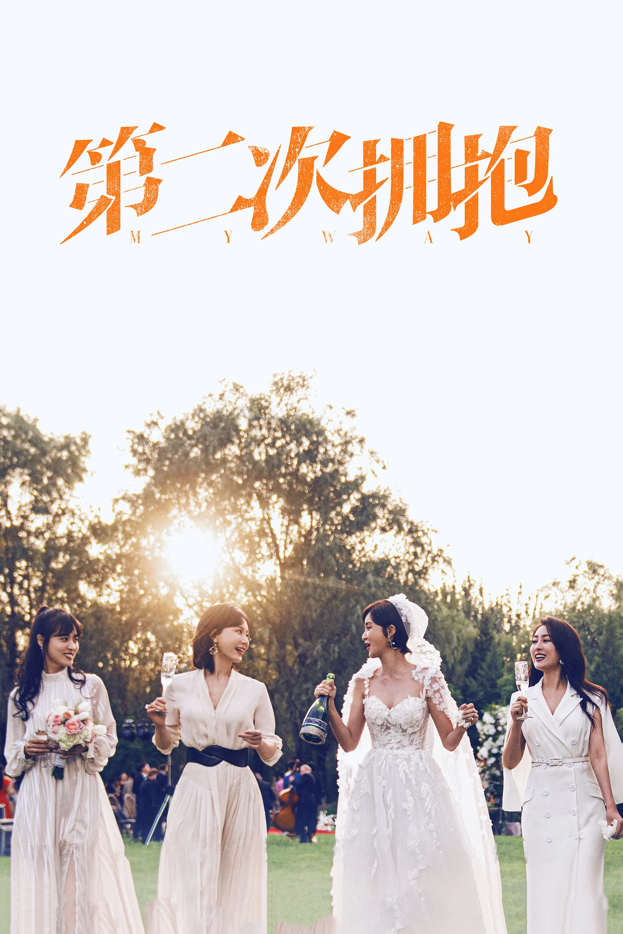 《第二次拥抱》海报