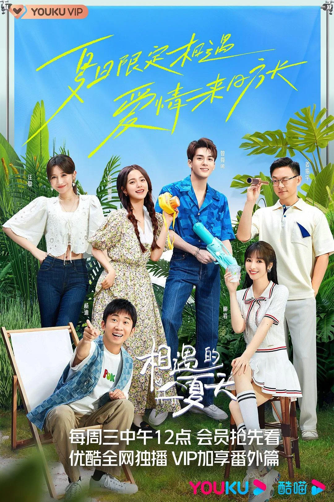 《相遇的夏天》海报
