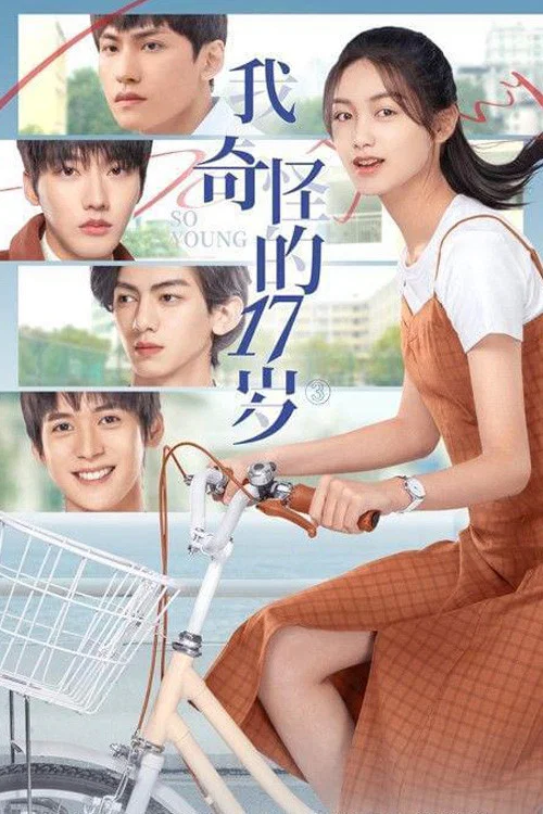 《我奇怪的17岁³》海报