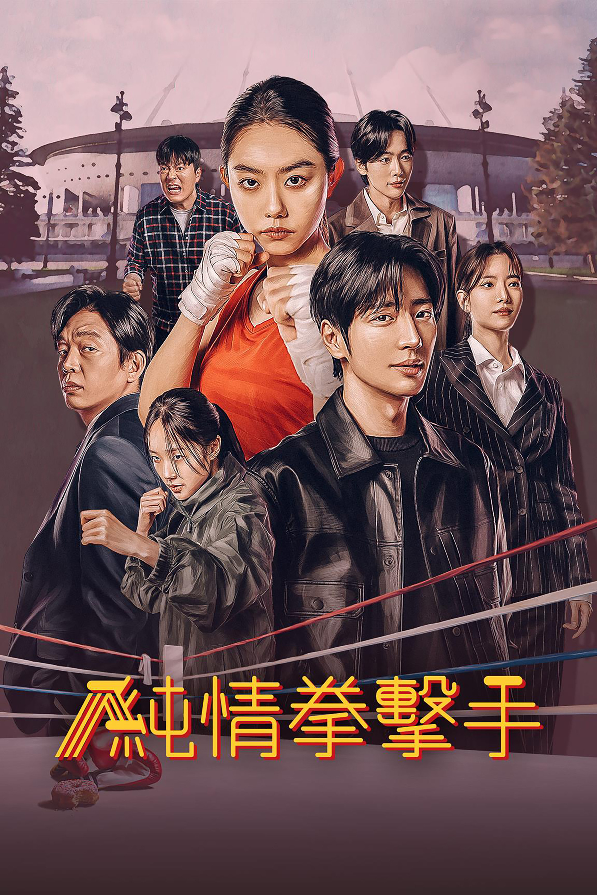 纯情拳击手封面图
