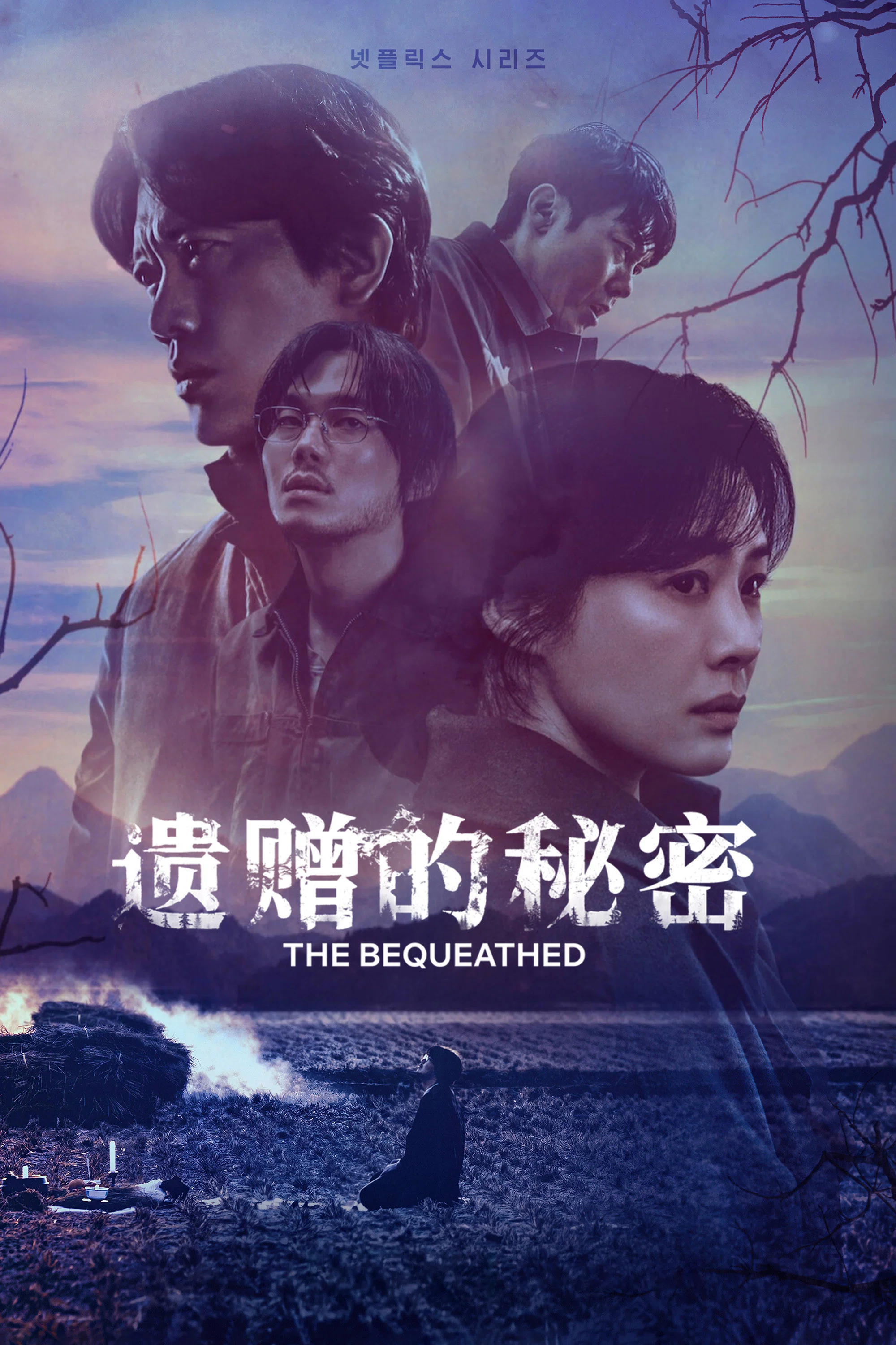 《遗赠的秘密》海报