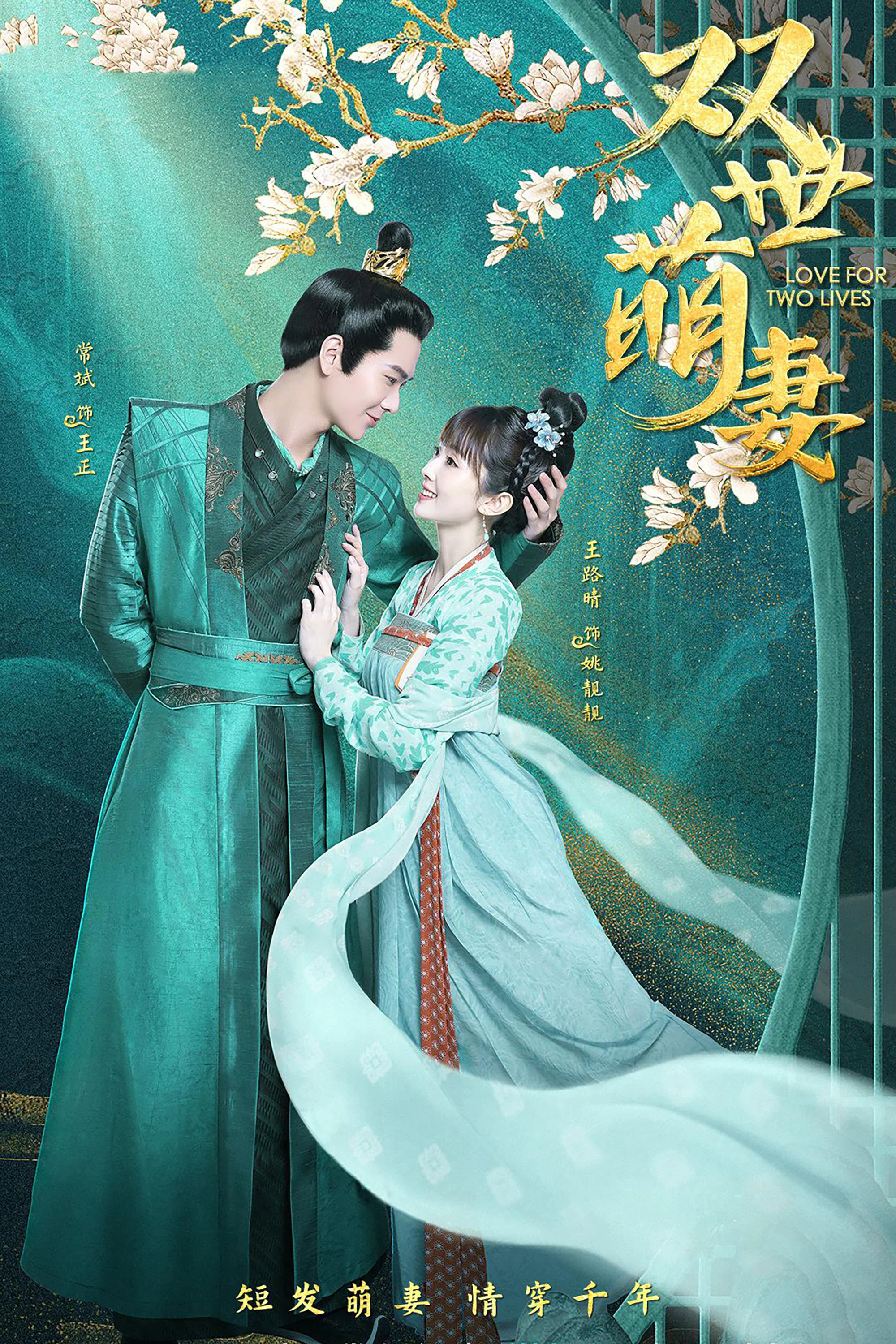 《双世萌妻》海报