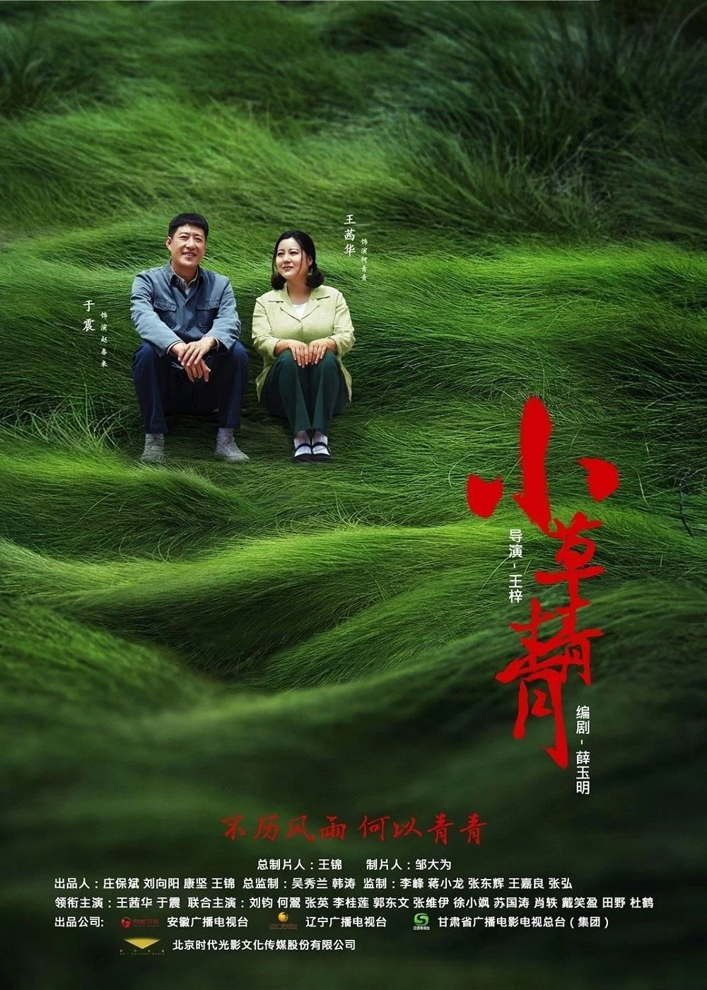 《小草青青》海报