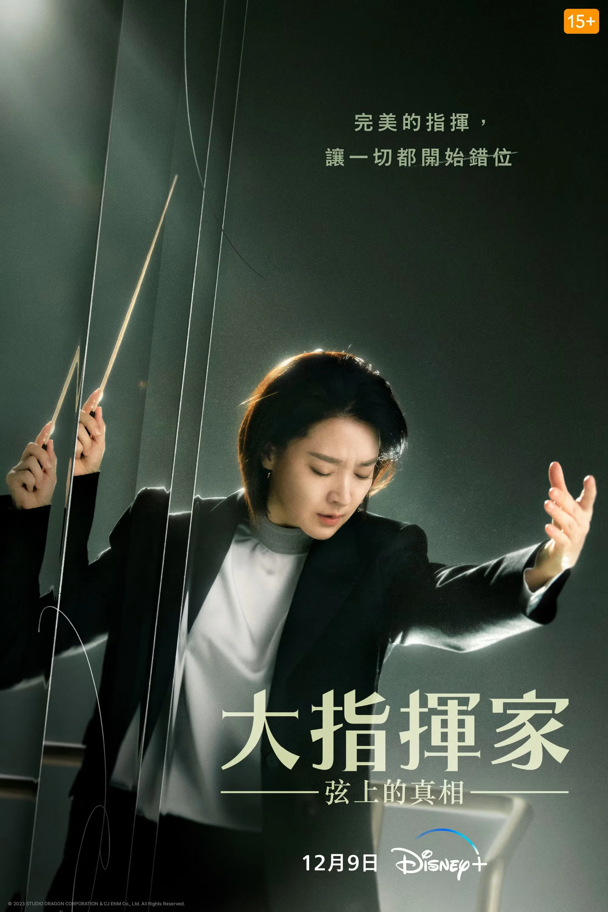 《大指挥家：弦上的真相》海报