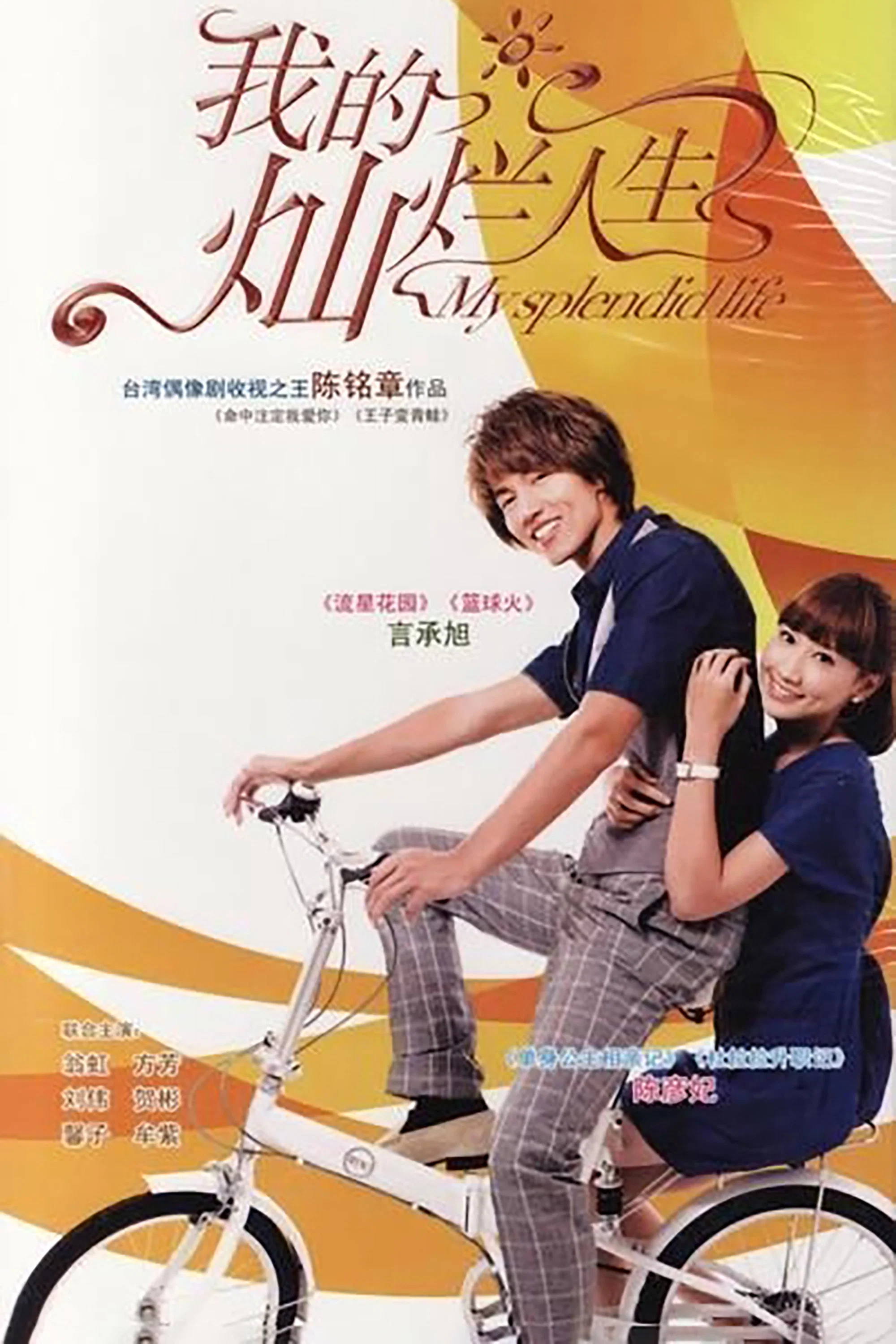 《我的灿烂人生》海报