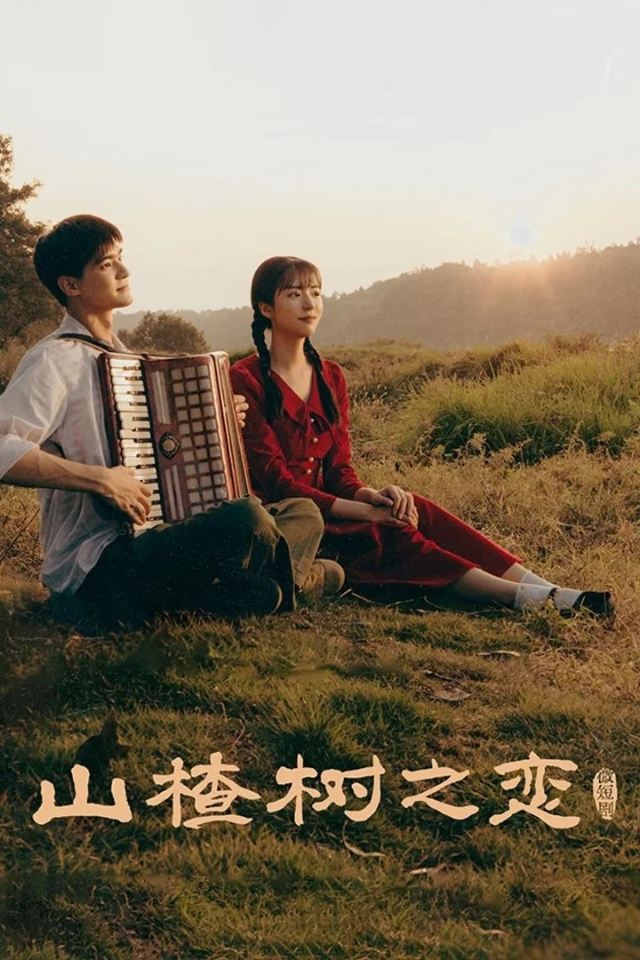 《山楂树之恋》海报