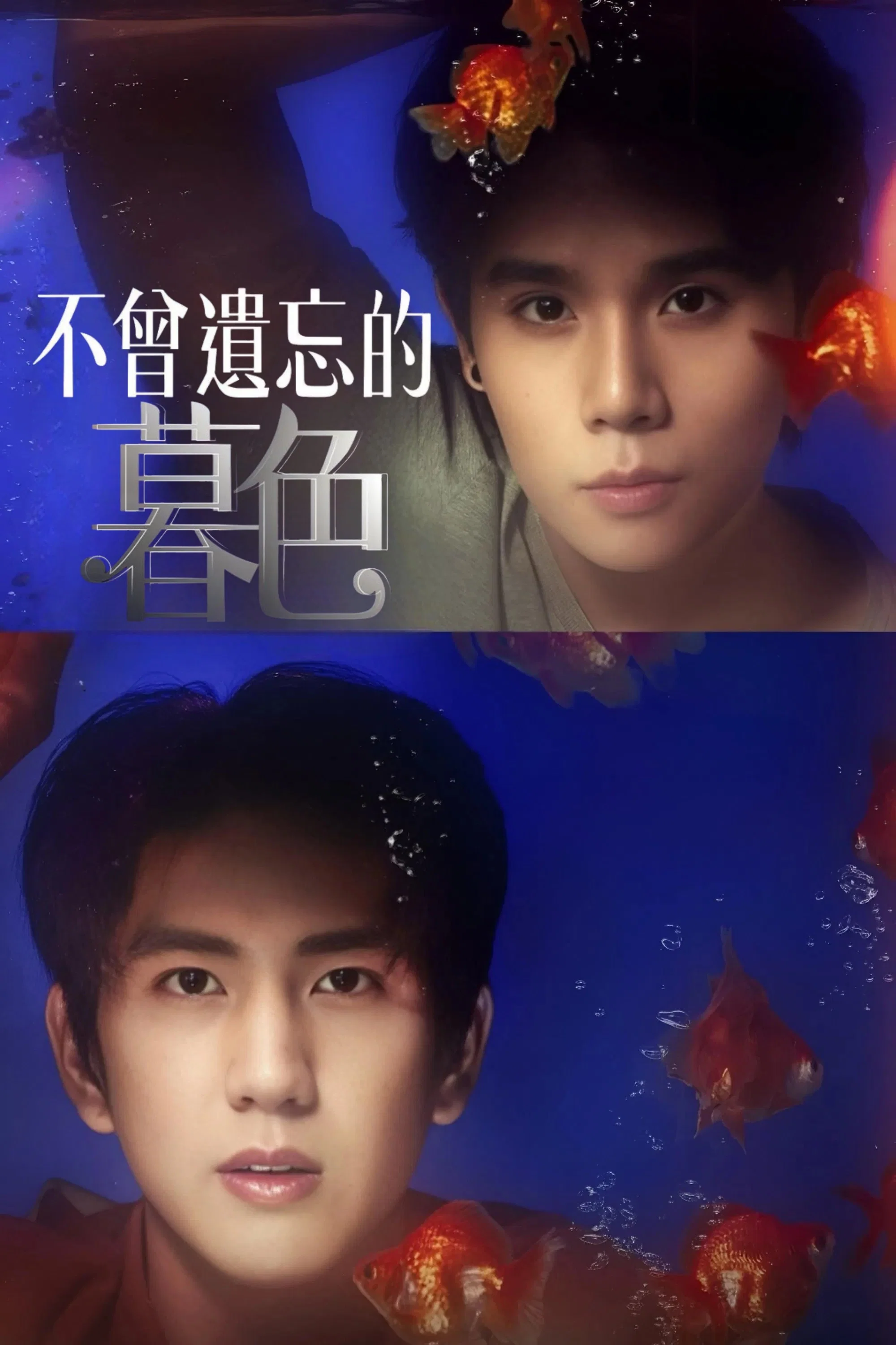 《不曾遗忘的暮色》海报