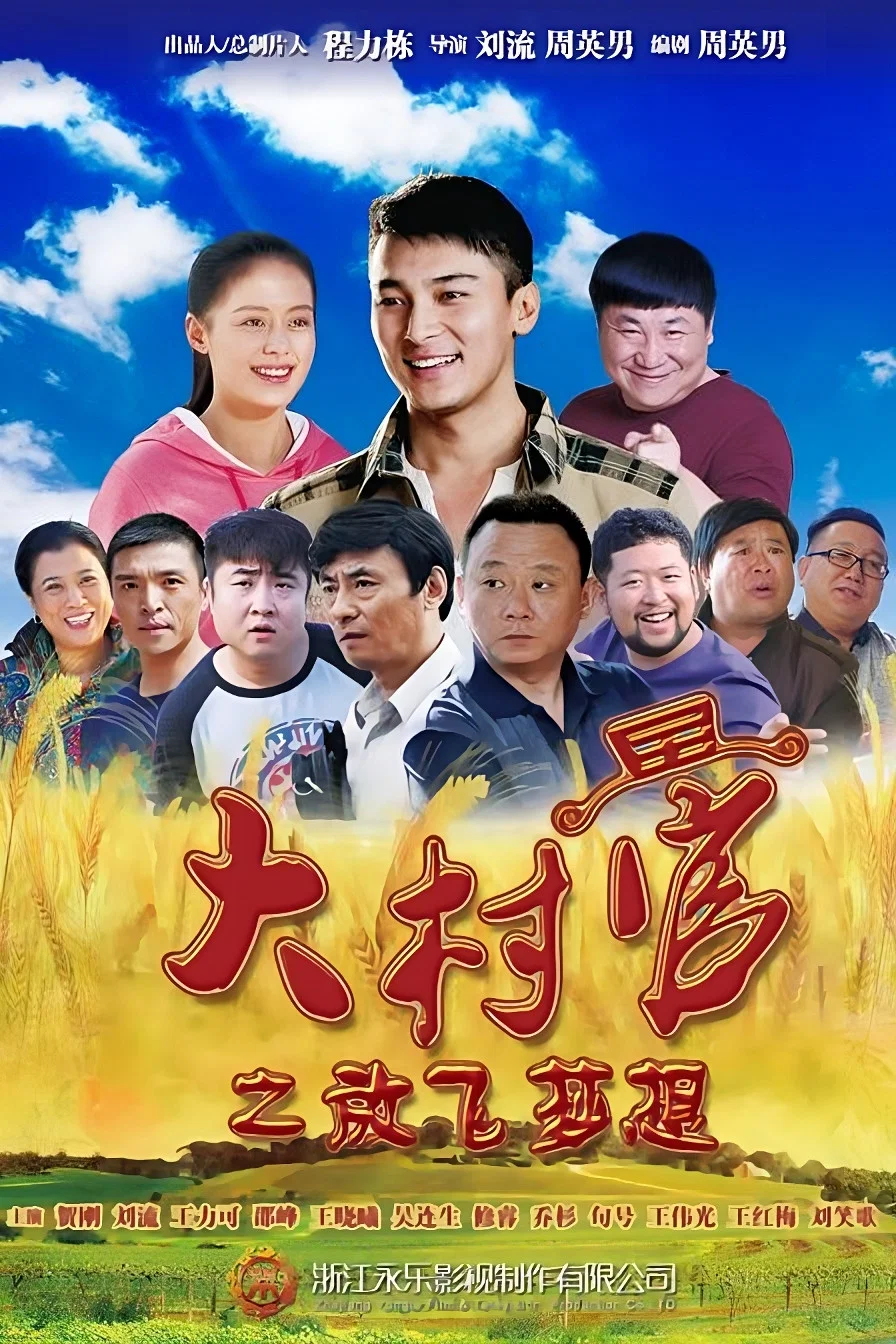 《大村官之放飞梦想》海报