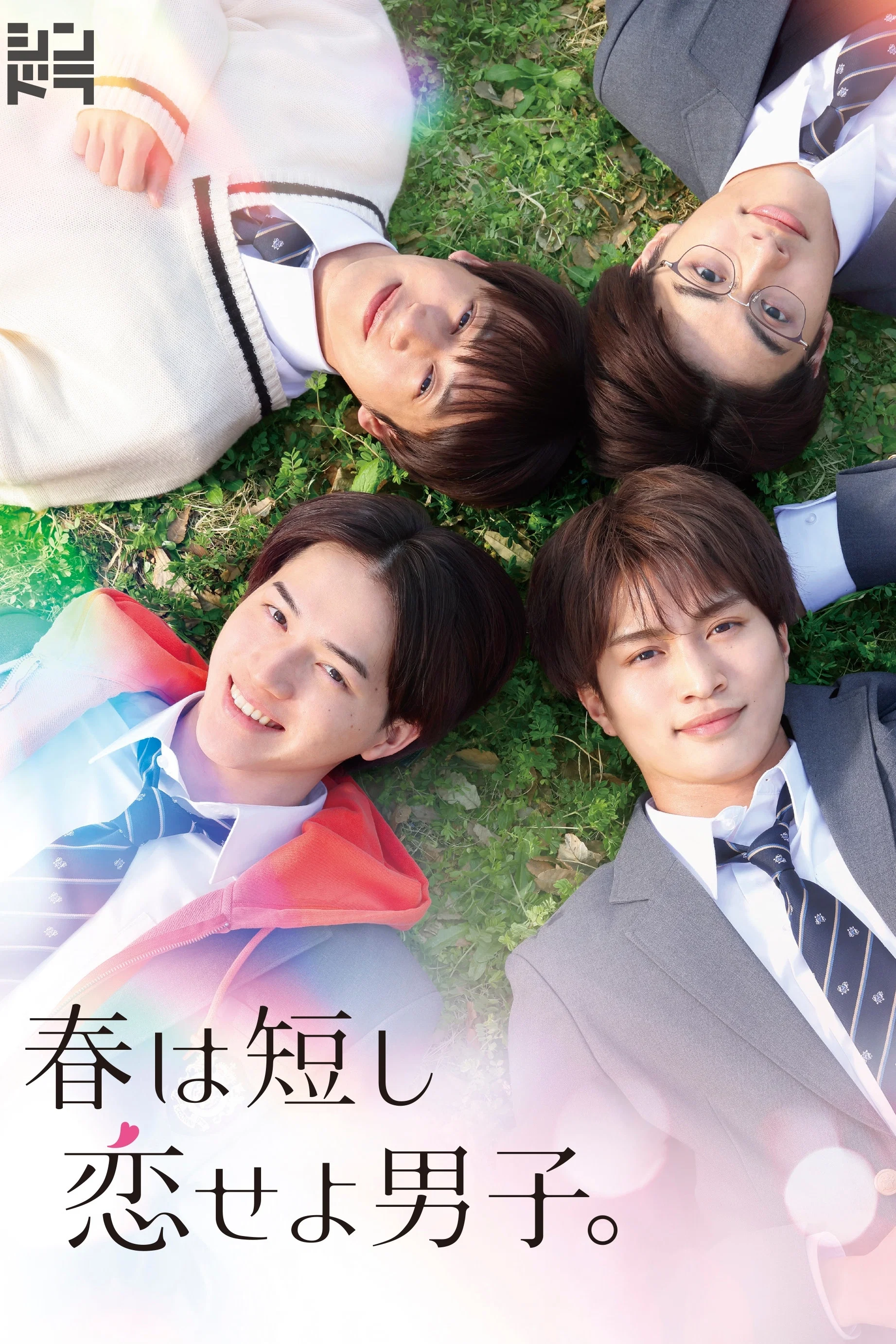 《春日苦短少年恋爱吧。》海报