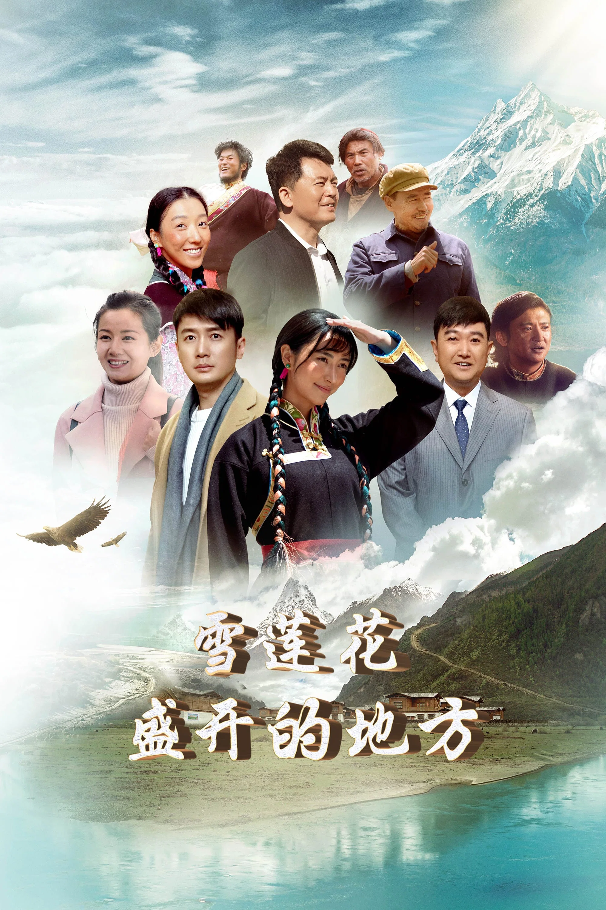 《雪莲花盛开的地方》海报